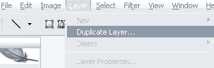 duplicatelayer.gif