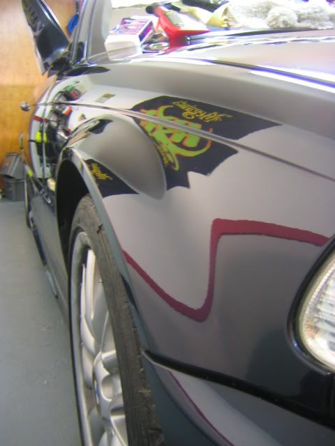 100_0009.jpg