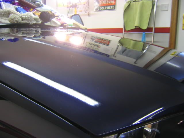 100_0010-1.jpg