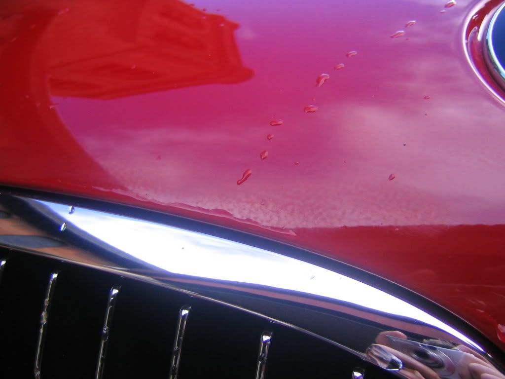 100_0010.jpg