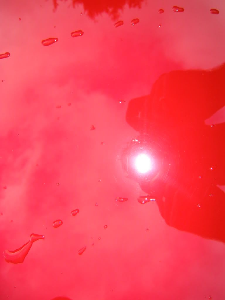 100_0015.jpg