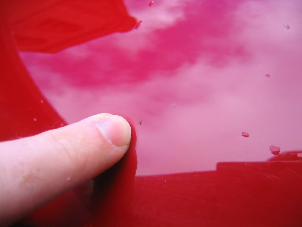100_0018.jpg
