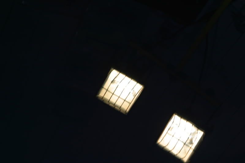 IMG_8819.jpg