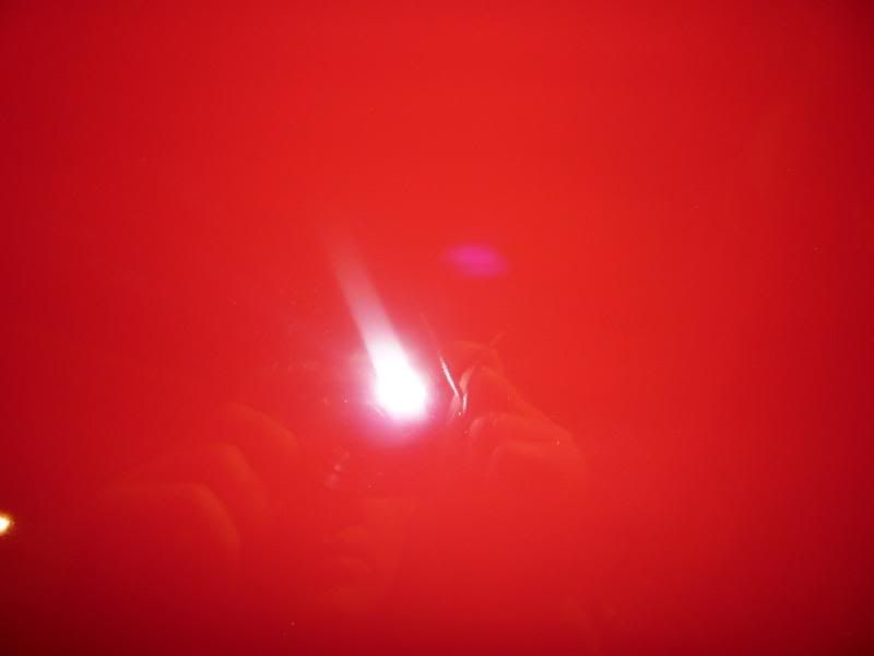 P1000117.jpg