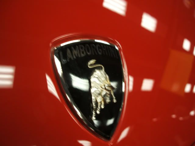 auto2006 lamborghini logojpg Lamborghini logo