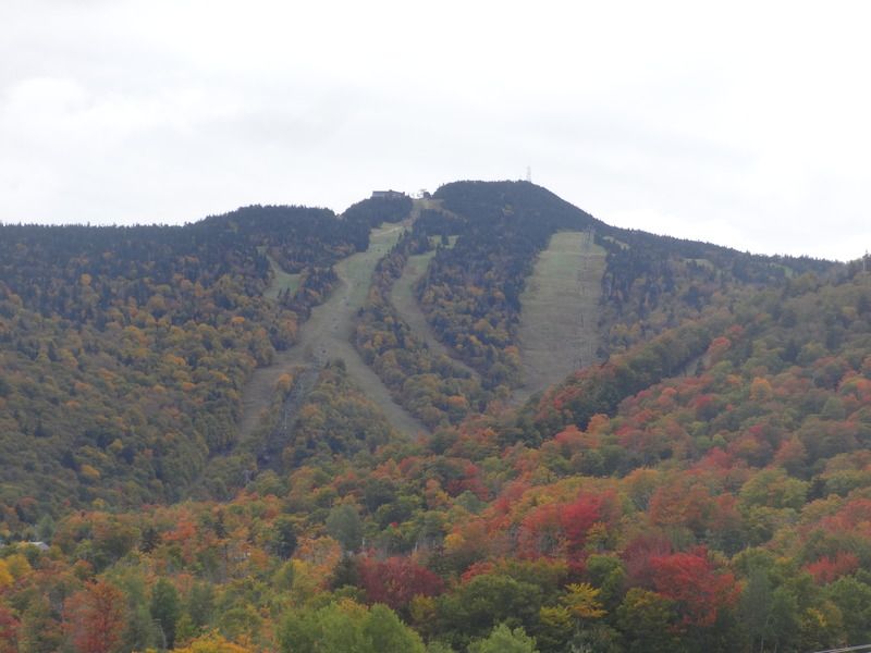 Killington%20Peak%20Foliage_zps1xntinwk.