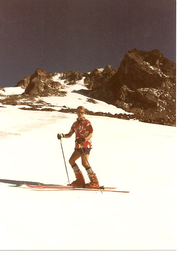 PalmerSnowfield1988.jpg