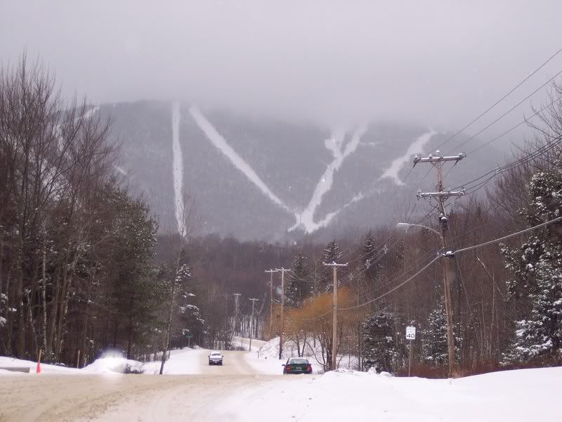 Sugarbush.jpg