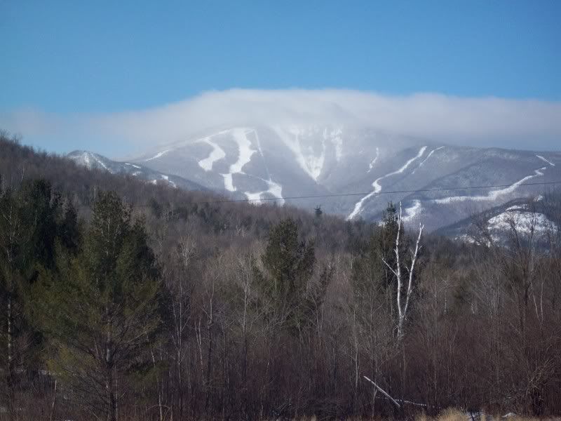 Whiteface-1.jpg