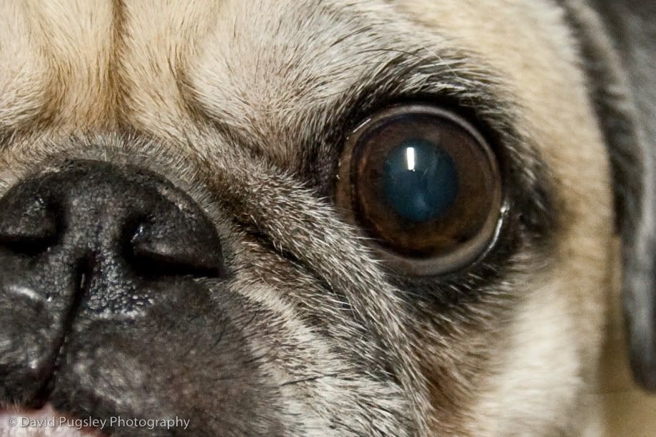 IMAGE: http://i6.photobucket.com/albums/y239/FLS2K/10_January_guinnessandbass_4-2.jpg