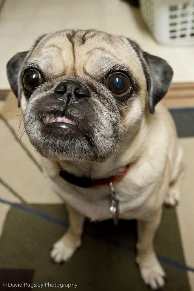 IMAGE: http://i6.photobucket.com/albums/y239/FLS2K/10_January_guinnessandbass_4.jpg