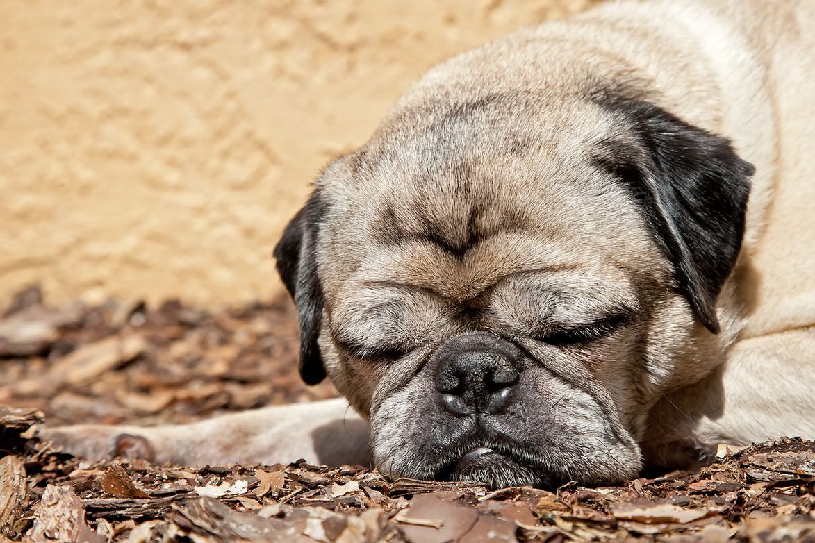 IMAGE: http://i6.photobucket.com/albums/y239/FLS2K/24-105TEST.jpg