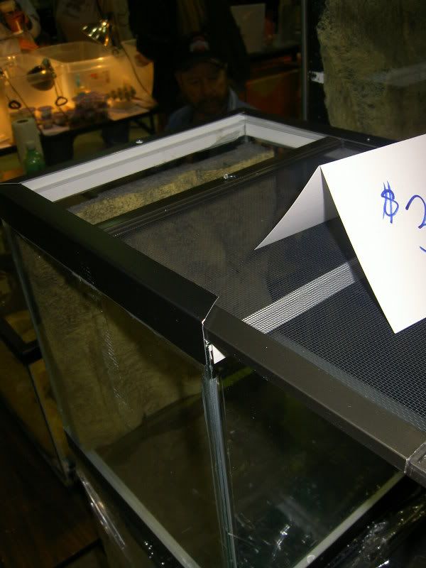 26f02313.jpg