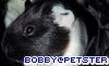 Bobby's Petster Page