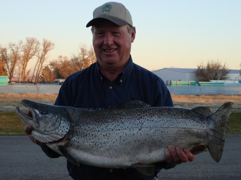 [Image: Large_Brown_Trout.jpg]