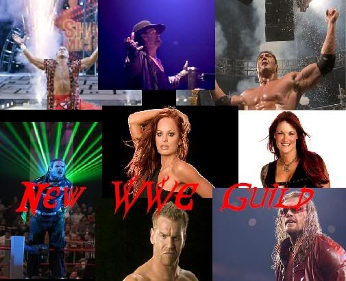 The New WWE Guild banner