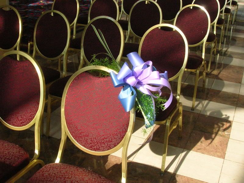 springerii with bow