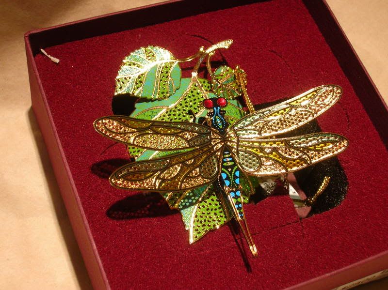 dragonfly with box