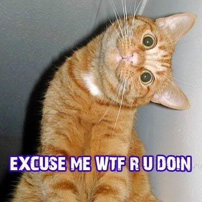 WTF.jpg