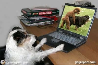 [http://i6.photobucket.com/albums/y240/GynZi/dog_porn_jpg.jpg]