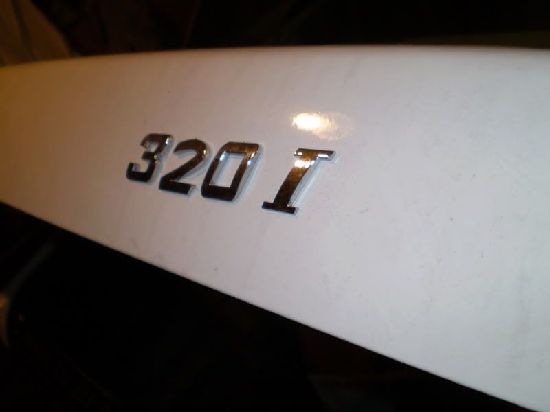 P1010058.jpg