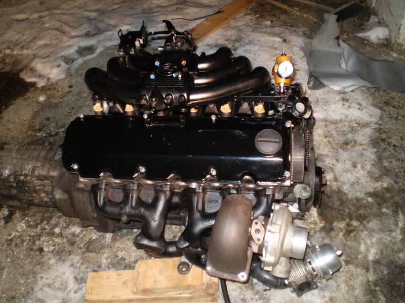 P1060009.jpg