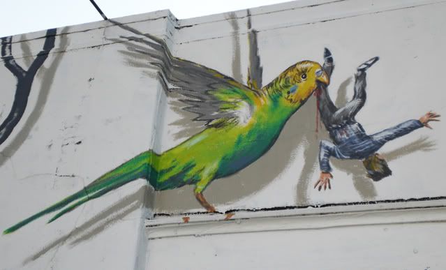 Killer Parrot