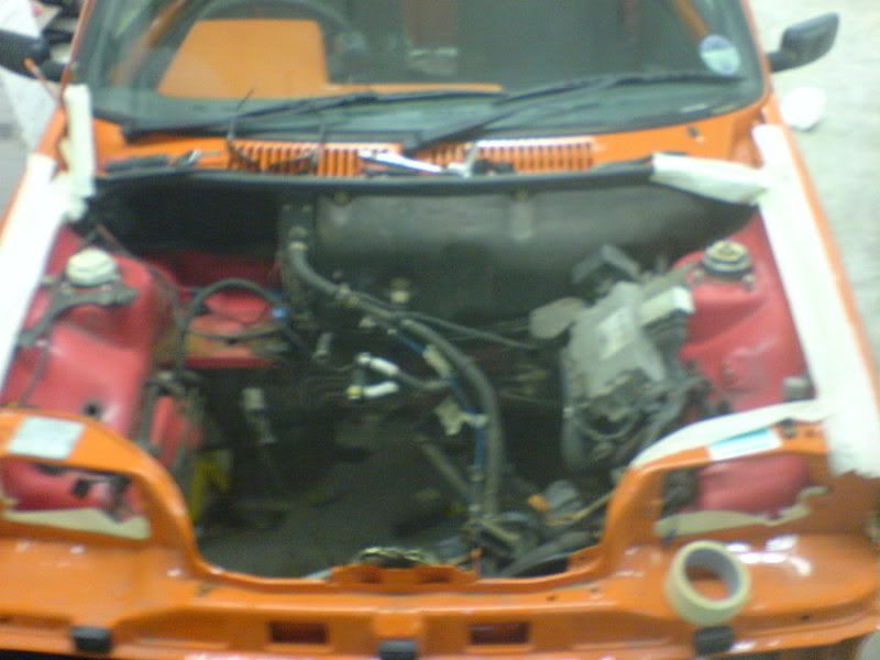DSC00559.jpg