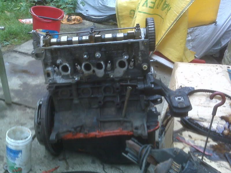 IMG00024.jpg