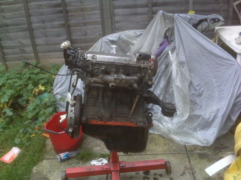 IMG00025.jpg