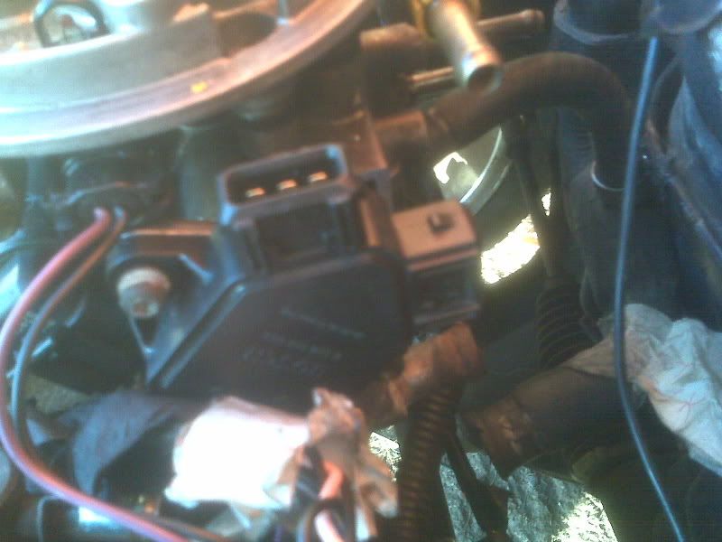 IMG00063.jpg