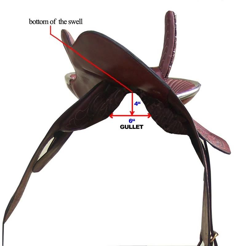 PERUVIAN PASO SHOW SIDE SADDLE TACK eBay