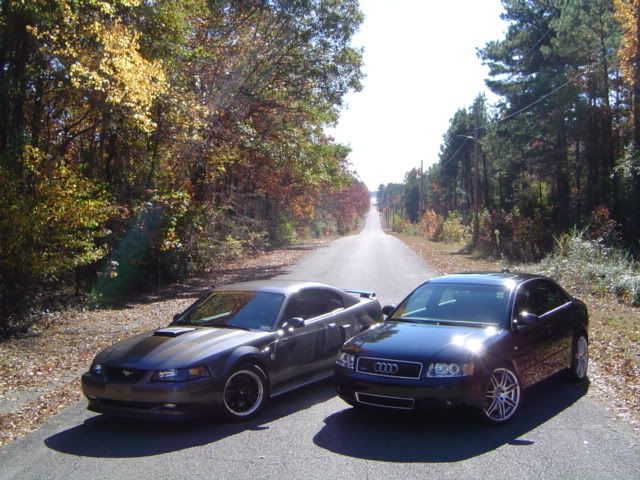 DSC01279.jpg