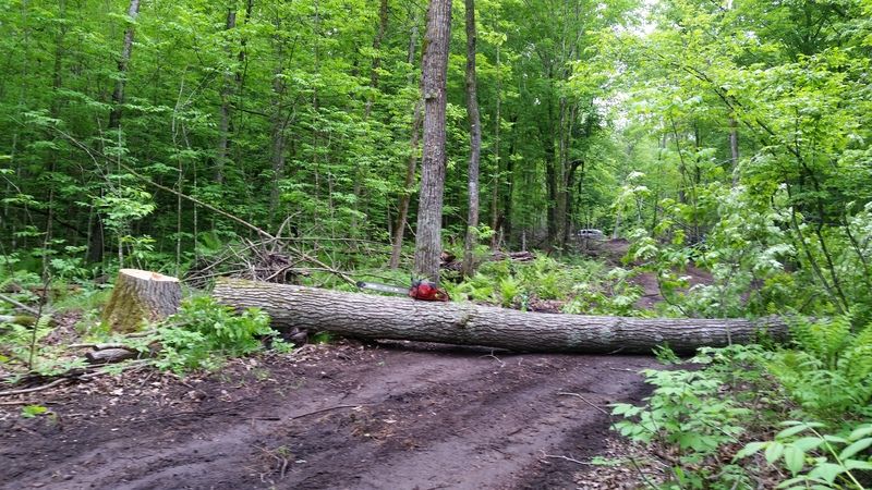 20160528_131305.jpg