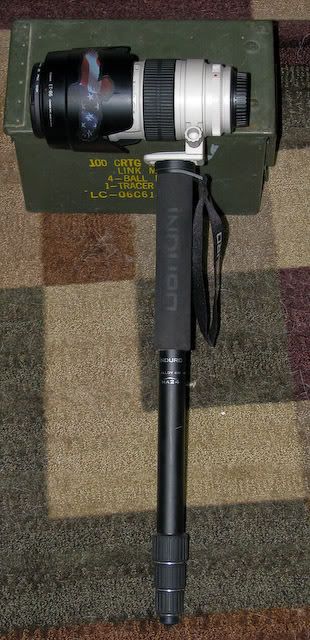 IMAGE: http://i6.photobucket.com/albums/y242/MagikTrik1000/POTN/Web_Image-021-2.jpg