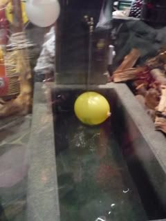 Photo Sharing and Video Hosting at Photobucket