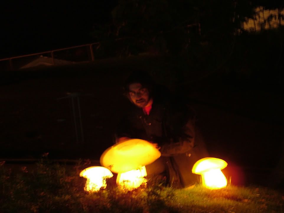 From the Trip: When Hangovers Glow Mushroom