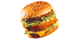 Burger Pictures, Images and Photos