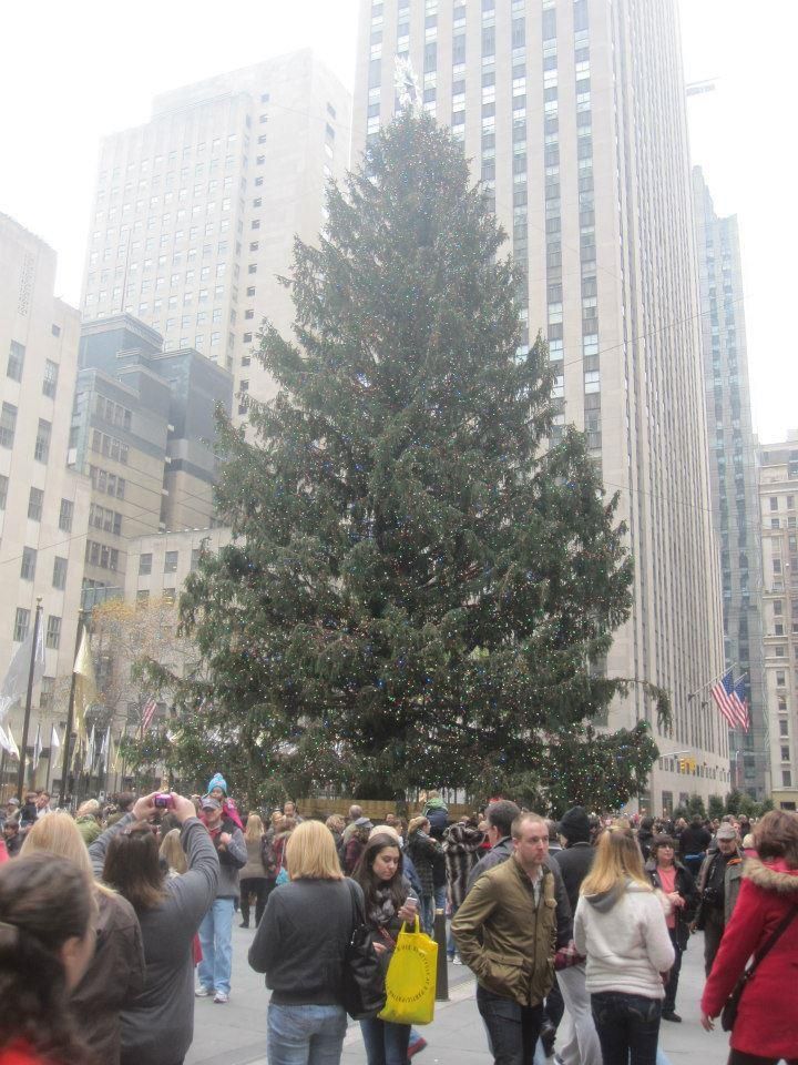 Tree at Rockefeller center
