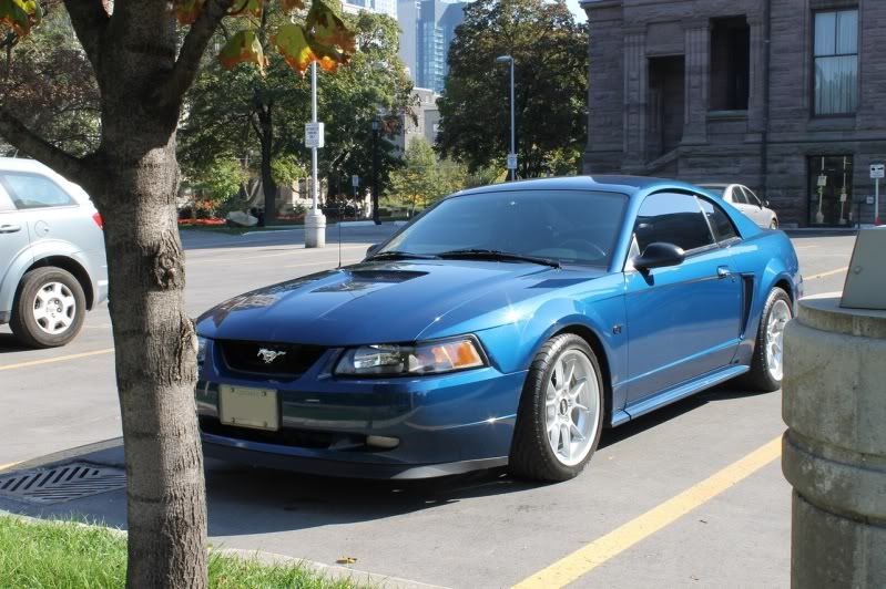 mustang1009_10.jpg