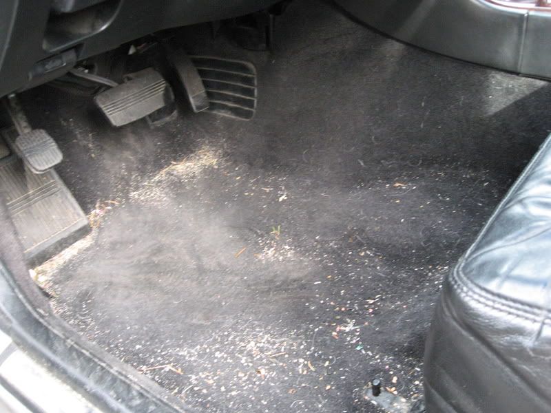 cars039.jpg