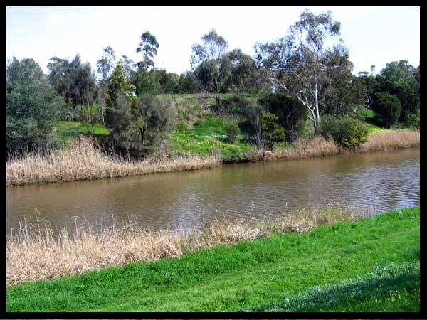 http://i6.photobucket.com/albums/y243/lil_purrrple/ByTheYarra1.jpg