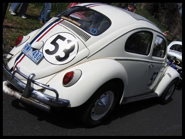 http://i6.photobucket.com/albums/y243/lil_purrrple/Herbie.jpg