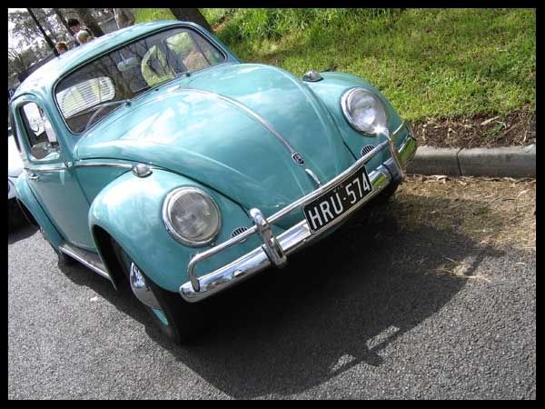 http://i6.photobucket.com/albums/y243/lil_purrrple/TurquoiseBeetle.jpg