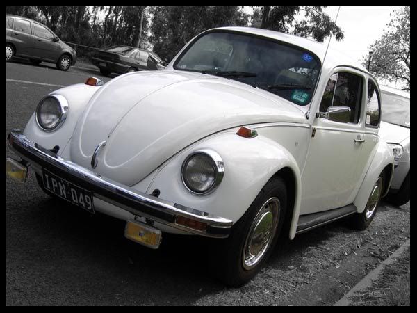 http://i6.photobucket.com/albums/y243/lil_purrrple/White76Beetle1.jpg