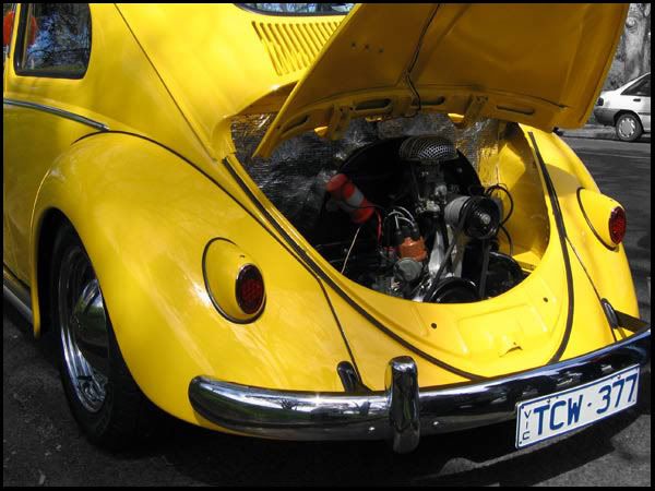 http://i6.photobucket.com/albums/y243/lil_purrrple/YellowOval1.jpg