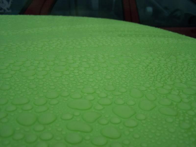 103_7412.jpg
