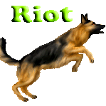 Riot-1.gif