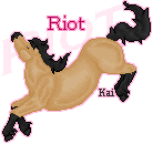 Riottag-1.gif