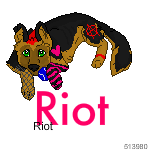 play-riot-1.png